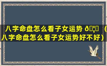 八字命盘怎么看子女运势 🦆 （八字命盘怎么看子女运势好不好）